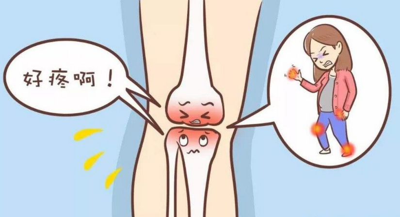 肽能让骨骼再生吗.png