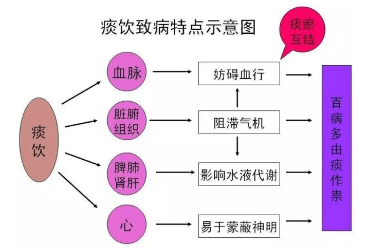 沙棘有哪些保健作用.png