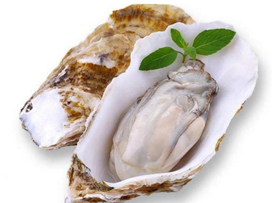 牡蛎肽的功能与品牌.png