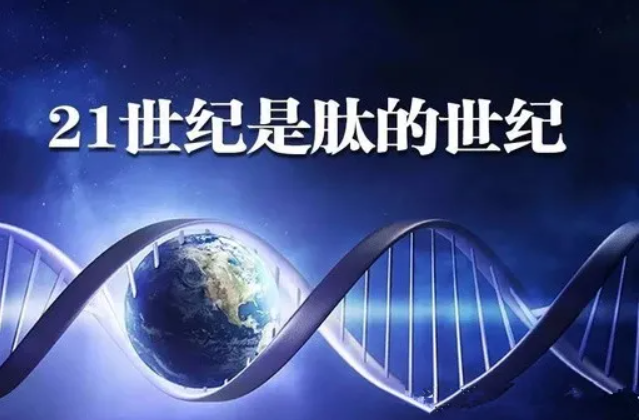 肽有哪些生理特性，什么牌子的小分子肽质量好价格便宜？