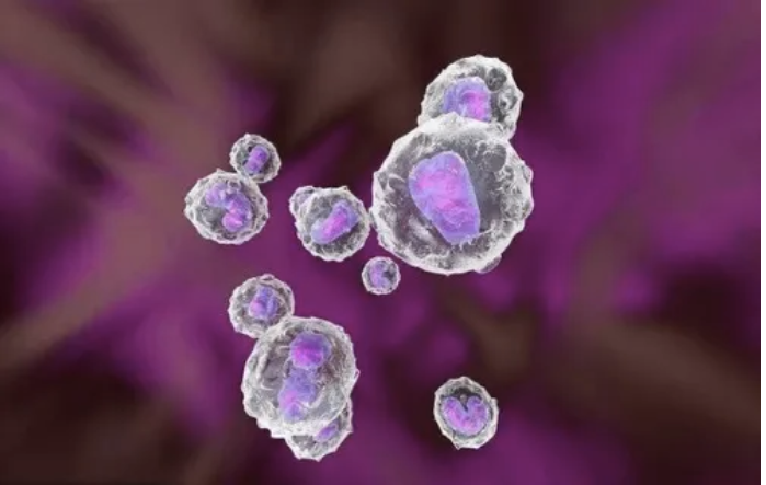 免疫细胞疗法能治疗HPV感染吗.png