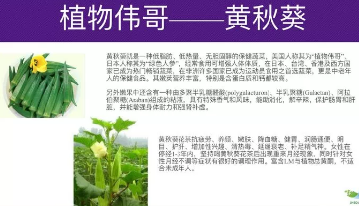 黄秋葵牡蛎肽补肾效果怎么样，多久能看到明显效果