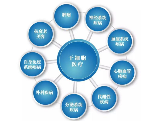 干细胞与治疗改善性功能，干细胞对身体作用的六个方面