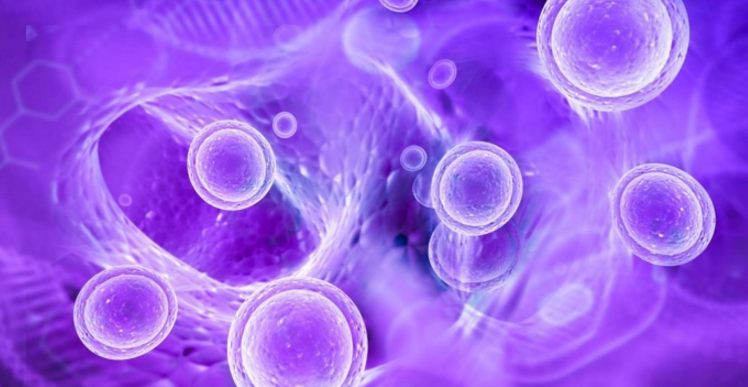 干细胞注射能修复卵巢吗.png