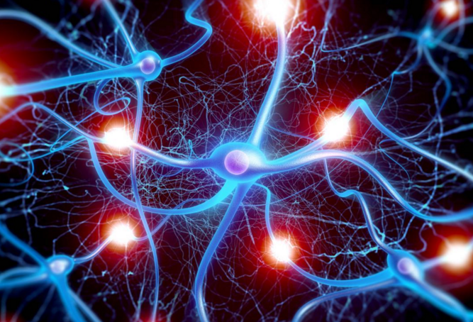 干细胞修复神经细胞的原理，干细胞疗法对脑梗后遗症效果怎么样