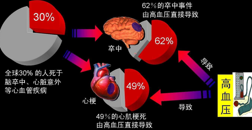 小分子肽对高血压有治疗作用吗,肽对三高人群的作用大吗