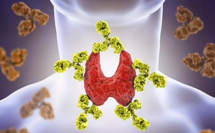 小分子肽对甲状腺功能减退效果好吗，肽能修复甲状腺吗