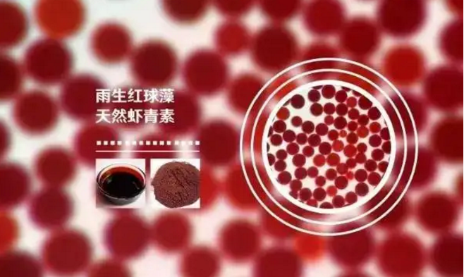 雨生红球与超级抗氧化剂虾青素