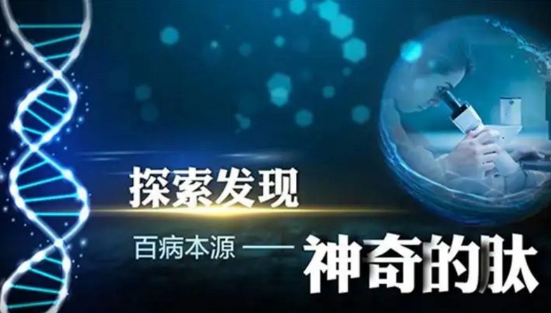 小分子肽品牌.png