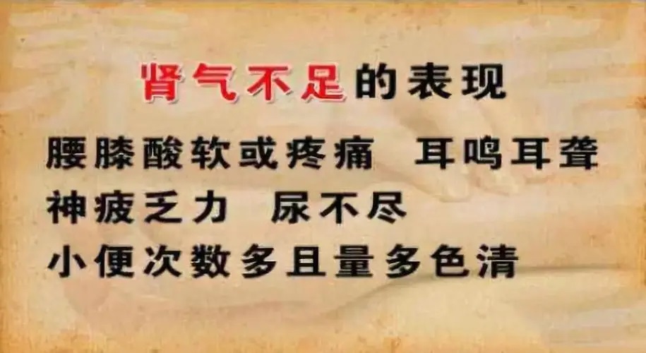 肾气不足的表现.jpg