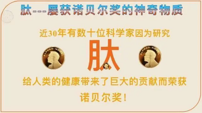 肽的作用与功能.png