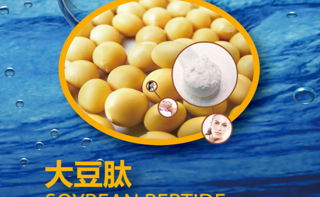 大豆肽.png