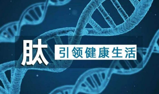 小分子肽对降血糖效果怎么样？肽能治疗糖尿病吗？