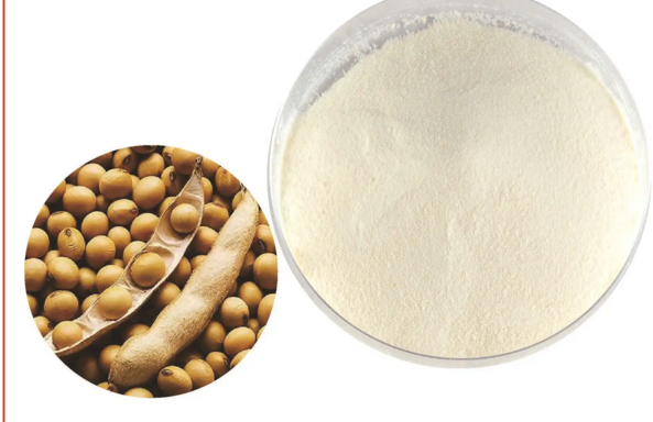 大豆肽粉与消除氧化