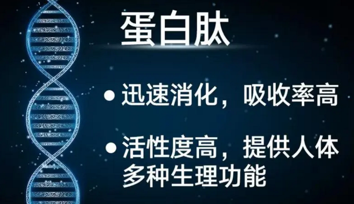 小分子肽比蛋白粉有哪些优势？糖尿病人喝什么肽好？