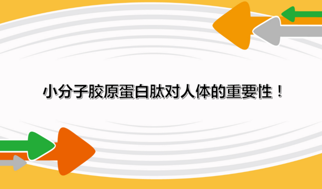 骨胶原蛋白肽与紧致肌肤，淡化斑纹