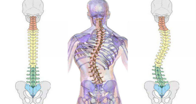脊柱错位与对应疾病