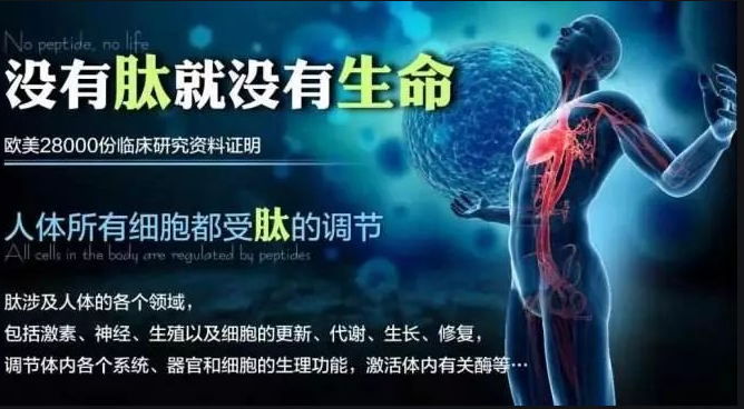 小分子活性肽适合痛风病人服用吗?肽的功效与作用