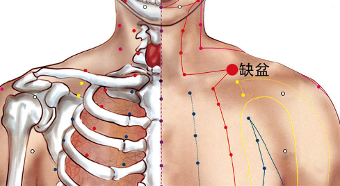 缺盆穴在治疗咳嗽中的应用