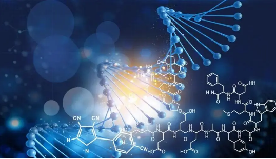 补肽与解毒排毒,小分子活性肽的解毒效果强吗