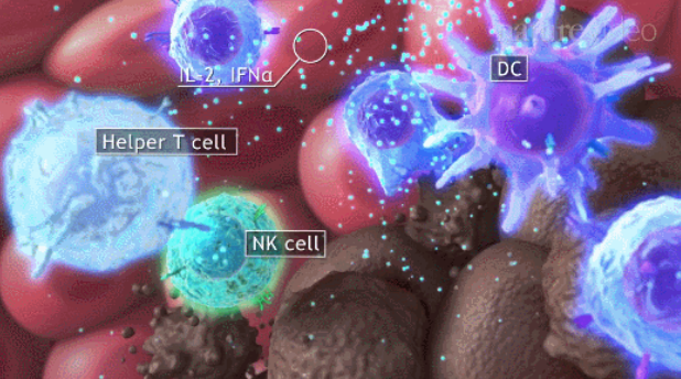 什么是干细胞?干细胞注射费用