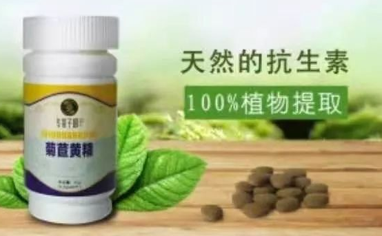 绿之韵(Resgreen)韵宜生菊苣黄精压片糖果对降尿酸好吗?