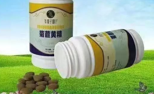绿之韵菊苣黄精压片糖果.png