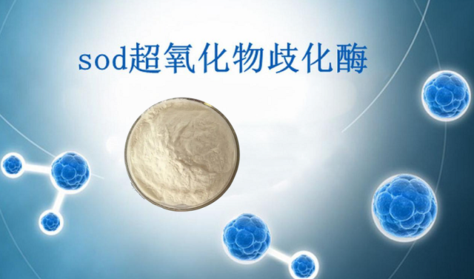 sod超氧化物歧化酶.png