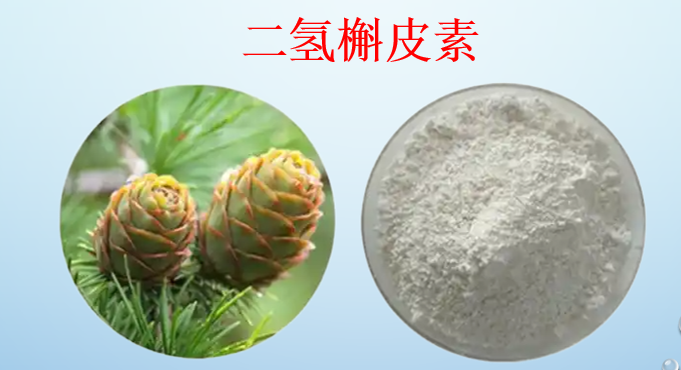 二氢槲皮素1.png
