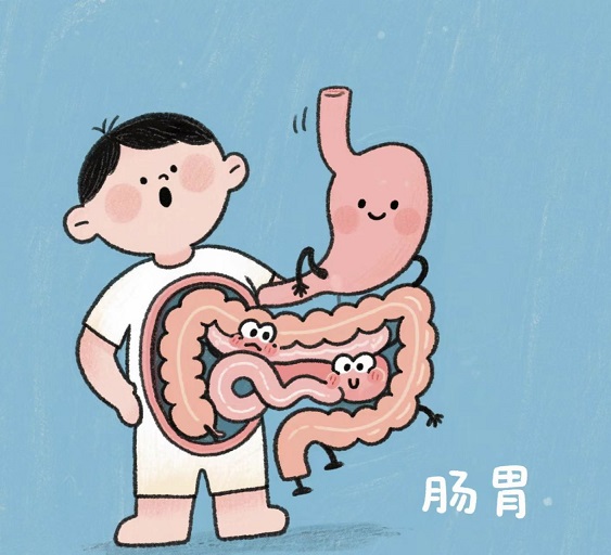 肠胃.jpg