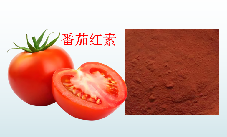 番茄红素.png