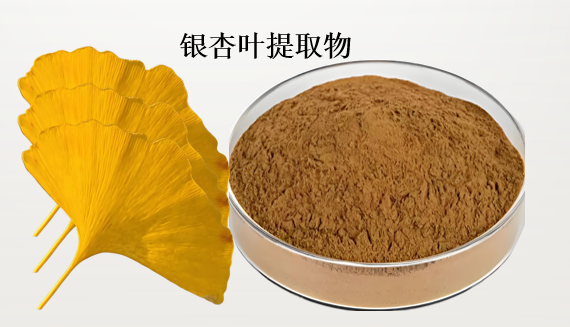 银杏叶提取物.png