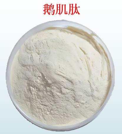 鹅肌肽.png 鹅肌肽.png